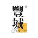 gaincity logo