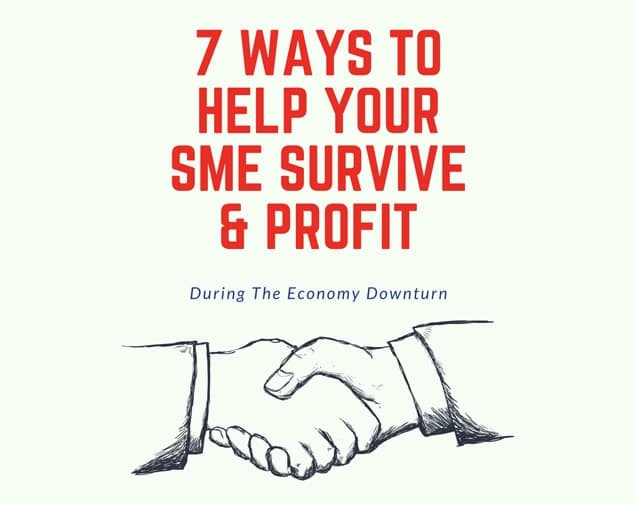 7 Ways To Help Your SME Survive cover