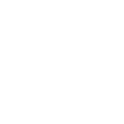 Shopify Logo