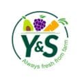 ys logo e1646366818249